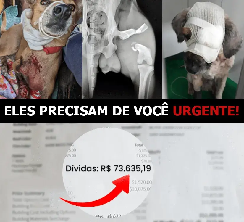 Erik sonha em ajudar a mãe e precisa da sua força.